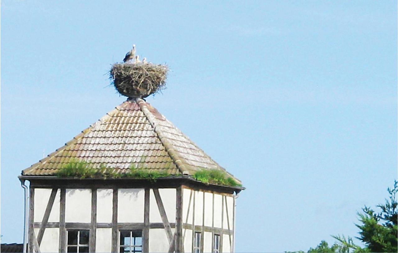 Herrenhaus Luebbenow Екстериор снимка